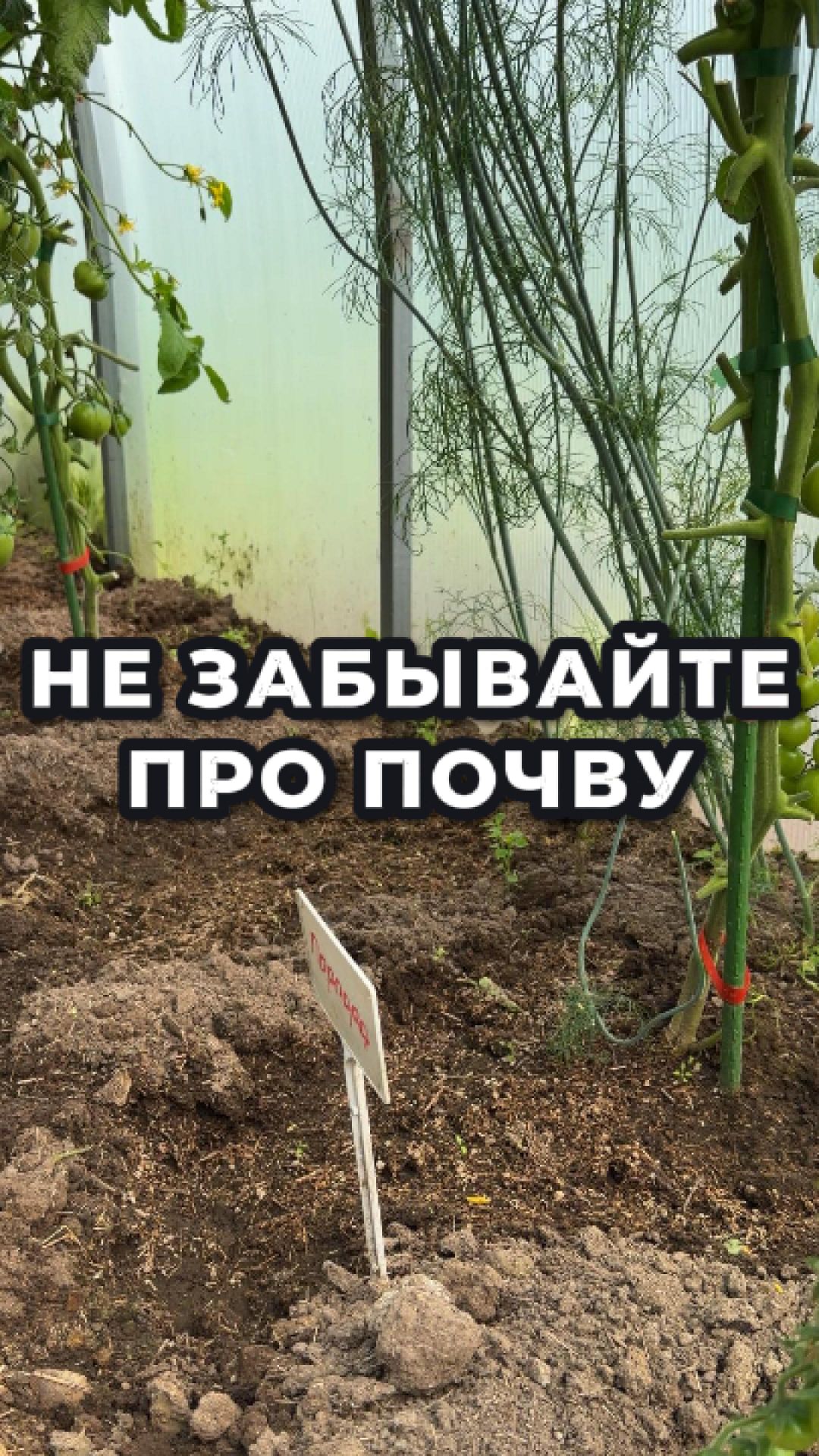 Друзья, июль! 🌱 А про почву вспоминаем лишь весной и осенью… Зря!