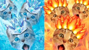 Смешной котенок, маленький кот