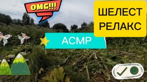Расслабляющее видео для релакса. Успокоиться и уснуть.