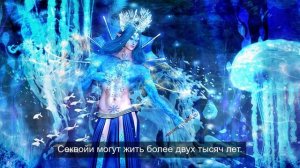 Путешествуем по миру 3