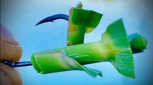 Ловля АМУРА на КАМЫШ🌾🌾🌾! Вот это ТЯГА!!!