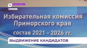 Процесс регистрации кандидатов в депутаты Госдумы и Заксобрания идёт в Приморье