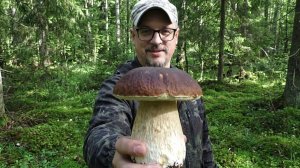 Слабонервным НЕ СМОТРЕТЬ! Грибник потерял ДАР РЕЧИ когда увидел ЭТО!Новый лес ПОДМОСКОВЬЯ грибы 2026