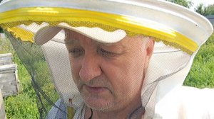 Результат выведения маток по Кашковскому, несколько маточников в безматочном отводке