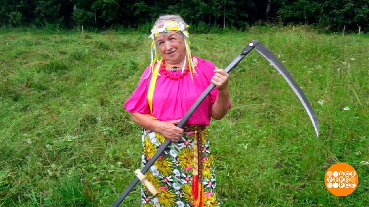 Коси, коса! И дождь - не помеха... Доброе утро. Фрагмент выпуска от 20.07.2026 смотреть онлайн