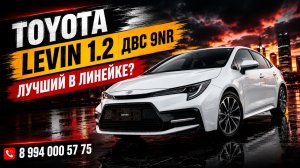 Toyota Levin 1.2 | Стоит ли брать?