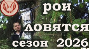 Рои ловятся в сезоне 2026