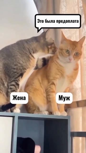 А, ну ок