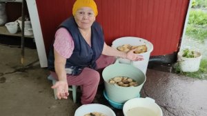 Замочила грибы //Гавриил испытывает //поздравляю Вас // дождь