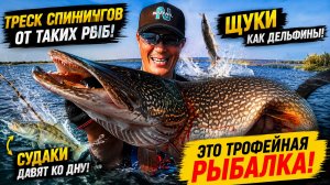 ТРЕСК СПИННИНГОВ ОТ ТАКИХ РЫБ! ЩУКИ КАК ДЕЛЬФИНЫ! СУДАКИ ДАВЯТ КО ДНУ! ЭТО ТРОФЕЙНАЯ РЫБАЛКА!