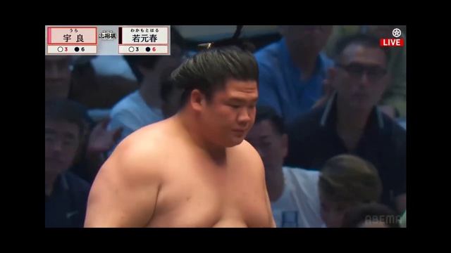 Nagoya Basho 2026 – Makuuchi Division Day 9 All Bouts! (Natto Sumo Version) Сумо на русском смотреть онлайн