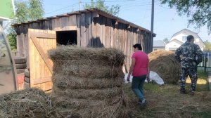 20-07-2026 Хорошо в деревне летом / прибрали сено.