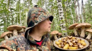Сезон дождей в Свердловской области,а есть ли грибы в лесу? Проверяем!