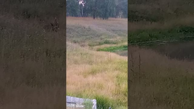 Ещё немного природы нашей 😉☺️ смотреть онлайн