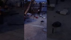 2141.mp4