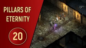 PILLARS OF ETERNITY - ЧАСТЬ 20 - БЕСПРЕДЕЛ В ДУРДОМЕ