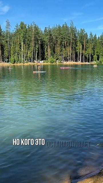 Когда весь Питер выехал за город