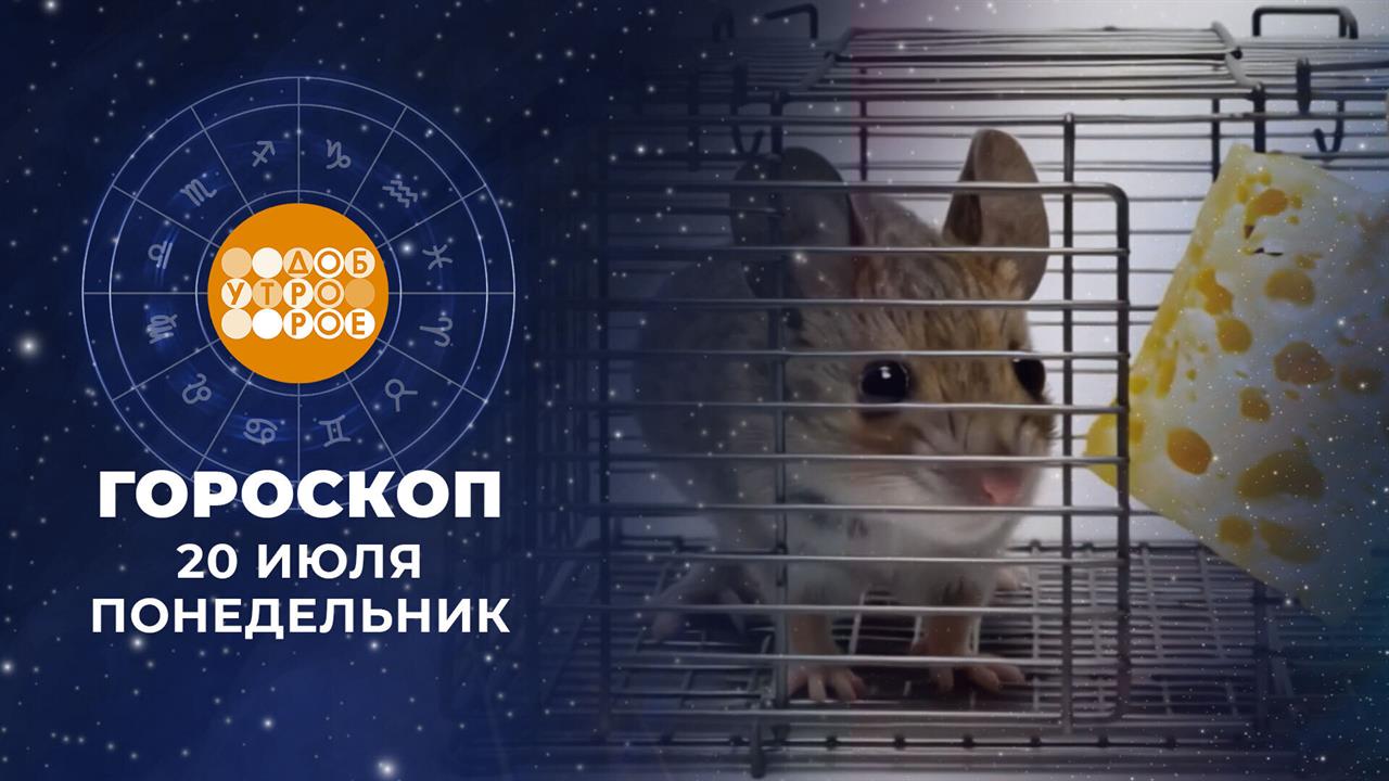Гороскоп на 20 июля. Доброе утро. Фрагмент выпуска от 20.07.2026 смотреть онлайн