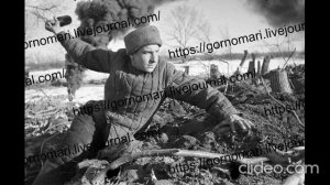 Посвящается началу Сталинградской битвы