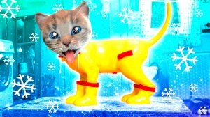 Анимированные приключения друз