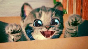 Анимированные приключения мале