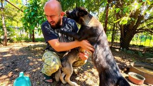 Тайган и Варя от радости чуть НЕ СБИЛИ НАС С НОГ, такие они уже большие❤️
