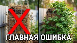 Картофельное дерево и не только