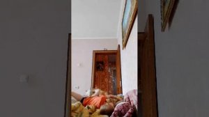 Играю на кровати