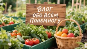 Влог Обо всем понемногу домашние дела