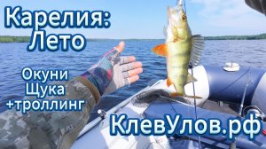 Рыбалка на Онежском озере. Республика Карелия.