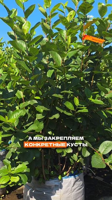 Как происходит маркировка заказа