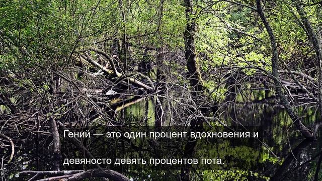 Путешествуем по миру 20 смотреть онлайн