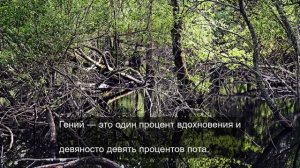 Путешествуем по миру 20
