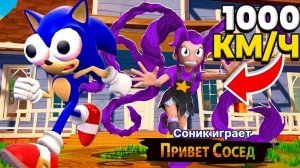 Соник играет в Привет Сосед , с Лили Лавбрейдс!