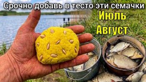 Супер насадка на карася Июль-Август. УЖЕ 25 ЛЕТ ОТ НЕЁ ДУРЕЕТ ВСЯ РЫБА!