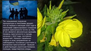 Николаев 21 июля 2026 года (новости)
