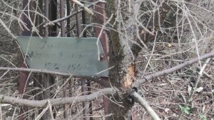 Забрёл на старое кладбище.
