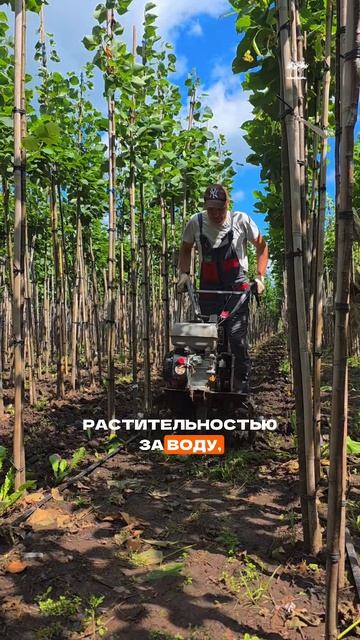 Работа мотоблоком в полях