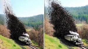 Невероятные Случаи с Поездами, Снятые на Камеру