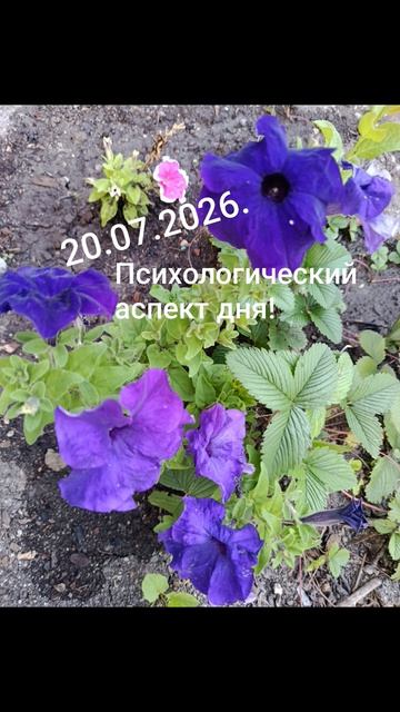 20.07.2026.✨Психологический аспект дня!Стратегия! Сила! Стабильность! Сопоставляйте, размышляйте...
