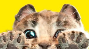 МИЛЫЙ КОТЕНОК ⭐ЛЕТНЕЕ ПРИКЛЮЧЕ