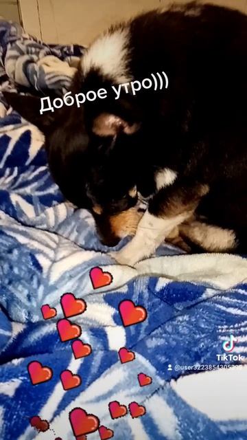 Музыка в дороге, для души, для настроения ♥️♥️♥️