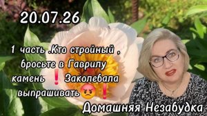 1 часть. Кто стройный ,бросьте в Гаврилу камень❗️Заколебала выпрашивать😡❗️