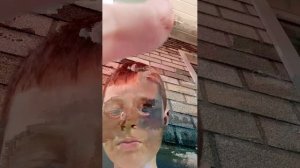 Трансляция Никиты. Продолжение