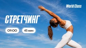 СТРЕТЧИНГ с Анастасией Филипьевой | 20 июля 2026 | Онлайн-тренировки World Class