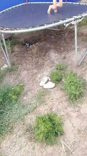 обучалки на батуте 2 часть +новая маска