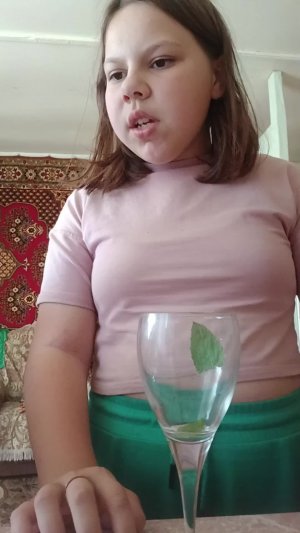 вика ви  с лп