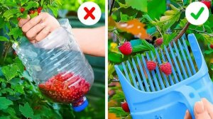 ГЕНИАЛЬНЫЕ СОВЕТЫ ДЛЯ САДА, КОТОРЫЕ СТОИТ ЗНАТЬ ВСЕМ! Простые советы по выращиванию растений
