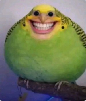 мы в лагере