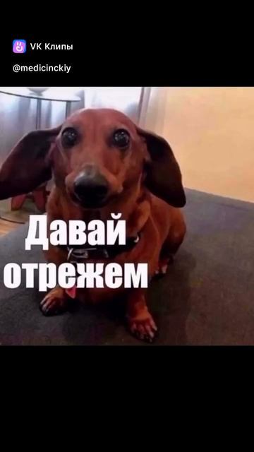 Канон смотреть онлайн